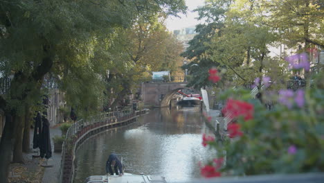 Rack-De-Enfoque-Desde-Una-Flor-Colorida-Hasta-Un-Hermoso-Canal-En-La-Ciudad-De-Utrecht,-Los-Países-Bajos---Ancho