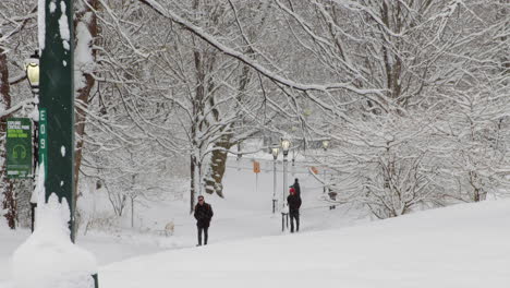 Menschen-Gehen-Mit-Hunden-Im-Central-Park-Nyc-Bei-Starkem-Schnee-Spazieren
