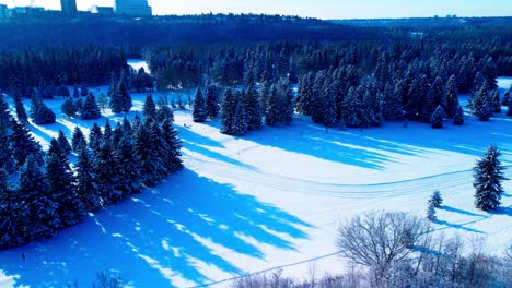 Winter-wonderland-closeup-reveal-aerial-flyover-forest-above-below-a-valley-for-cross-country-skiing-on-a-bright-sunny-afternoon-with-the-University-of-Alberta-in-the-horizon-shadowing-the-trees-1-2