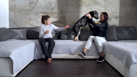 Mother-and-daughter-playing-with-mixed-breed-puppy-on-large-sofa