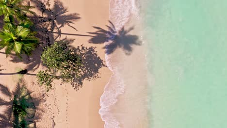 Bird's-Eye-View-Of-Tropical-Beach-Playa-Bonita-In-Las-Terrenas,-Dominican-Republic---aerial-drone-shot