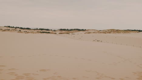 Menschen,-Die-Auf-Sanddünen-Laufen