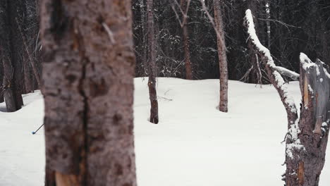 Hombre-Splitboarding-A-Través-De-Montañas-Rocosas-Nevadas-Bosques-Alpinos-De-Travesía