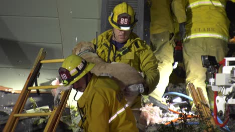 Feuerwehr-Rettet-Hund-Aus-Haus