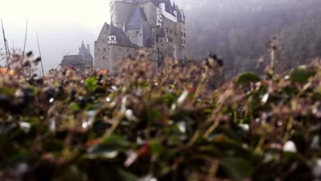 Die-Buschigen-Hecken-Rund-Um-Burg-Eltz-An-Einem-Schönen-Nebligen-Wintermorgen