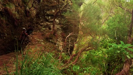 Hikers-Passing-By-The-Natural-Scenery-And-Landscape-During-The-25-Fountains-Levada-Walk-In-Madeira-Island,-Portugal