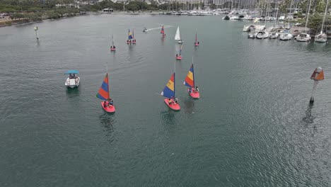 Luftaufnahme-Von-Studenten,-Die-Im-Bootshafen-Von-Ala-Moana-Segeln-Lernen-2