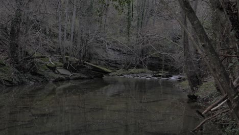 Kleiner-Fluss-In-Einem-Dunklen-Wald