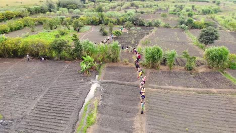 Group-of-African-Field-Workers-Going-to-their-Crop-Fields,-Malawi,-Africa