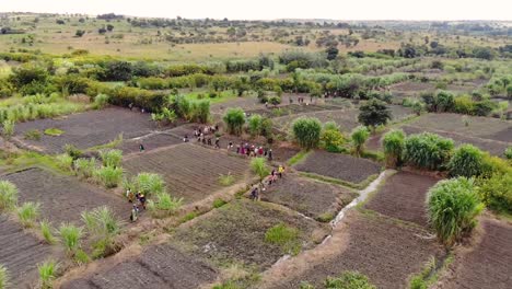 Black-African-Field-Workers-Coming-home-from-Work,-Drone-View