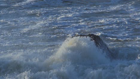 Big-waves-breaking-against-concrete-block-in-sunny-day,-slow-motion-medium-closeup-shot