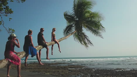 A-group-of-travelers-all-climbing-and-sitting-on-a-unique-horizontal-palm-tree-on-the-beaches-of-Punta-Banco,-Costa-Rica