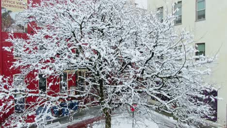 Snow-covered-car-beneath-a-tree-after-snow-storm,-flying-in-downtown-of-Lancaster,-PA