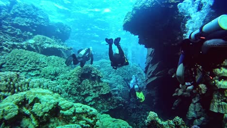 Gruppe-Von-Tauchern,-Die-Von-Den-Endlosen-Korallenriffformen-Umgeben-Schwimmen