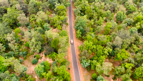Aerial-view-of-white-car-driving-on-country-road-in-forest