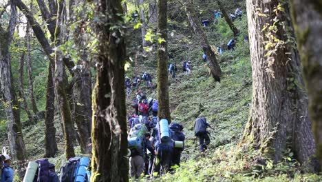 Montañeros-Del-Himalaya-En-Camino-A-Llegar-A-Su-Destino-Con-Sus-Mochilas---Bienes-Esenciales---Pasando-Por-Las-Colinas-Del-Himalaya---Bosque-De-Sal,-Uttarakhand,-India