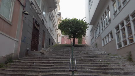 Tree-in-the-city-alley,-Shot-in-Lisbon