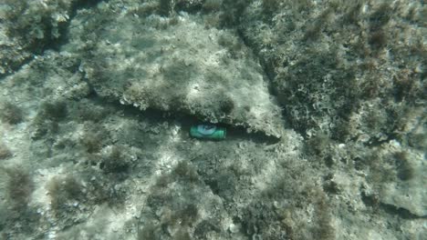 Single-can-of-Beer-underwater-on-ocean-floor,-polluting-sea