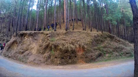 Montañeros-Del-Himalaya-De-Un-Instituto-De-Formación-De-Montañismo-En-Su-Camino-Hacia-El-Sendero