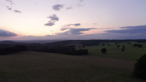 Toma-Aérea-Hacia-Atrás-De-Un-Roble-Solitario-Y-Vacas-Hacia-Una-Casa-Solariega-Al-Atardecer