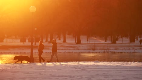 Men-dog-walking-in-park-against-a-background-of-warm-light