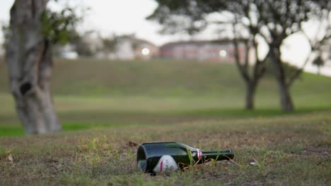 Wine-bottle-falling-and-impacting-ground-in-slow-motion