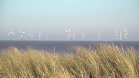 Gelbe-Strandgräser-Auf-Der-Spitze-Von-Sanddünen-Wehen-Im-Wind,-Während-Sich-Die-Turbinenblätter-Des-Riesigen-Windparks-Lincs-Drehen,-Der-Acht-Kilometer-Vor-Der-Küste-Der-Nordsee-Vor-Der-Ostküste-Englands-Liegt