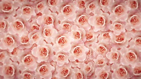Abstrakter-Bewegungshintergrund-Der-Rosafarbenen-Blume