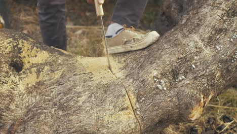 Refugee-sawing-olive-tree-fire-wood-Moria-refugee-camp-REAL-TIME