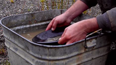 Gold-panning-by-Caucasian-male-hands,-prospecting-and-sifting-rocks-in-black-screening-pan-into-green-trap,-wetting,-soaking,-agitating-and-washing-in-tin-bucket-of-brown-murky-water,-static-close-up