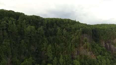 Pinien-Wachsen-An-Bewölkten-Tagen-Auf-Felsigen-Klippen-Von-Quebec-In-Kanada