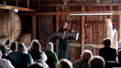 Violinist-Woman-playing-violin-in-old-barn