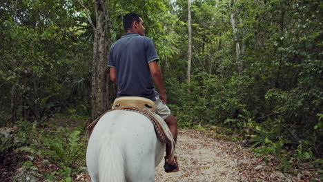 Slow-Motion-Back-shot-of-Man-Horseback-Riding-on-White-Horse-Alone-inside-Tropical-Forest-Pathway-in-Cancun,-Mexico