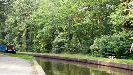 Turismo-De-Barcos-De-Canal-De-Estadía-Icónico-Británico-Que-Conduce-A-Través-De-La-Calmante-Vegetación-Del-Bosque-Galés