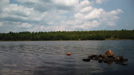 A-daytime-motion-time-lapse-of-the-Moon-River-and-surrounding-Conservation-Area