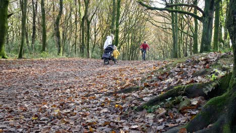 Mutter-Und-Baby-Wandern-Im-Herbstwald-Und-Schieben-Kinderwagen,-Während-Mountainbike-Fahrer-Vorbeikommt