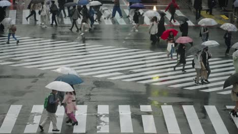 Peatones-Con-Paraguas-Corriendo-En-Shibuya-Scramble-Crossing-En-Un-Día-Lluvioso-En-Shibuya,-Tokio,-Japón