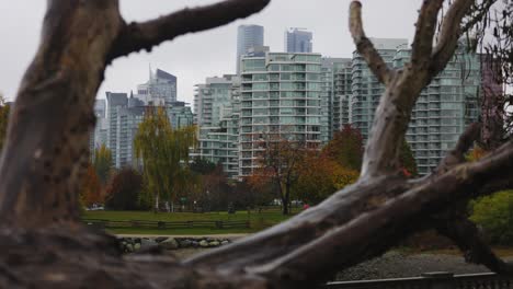 Vancouver-Skyline-from-Seawall-Path,-Stanley-Park,-Vancouver-Canada