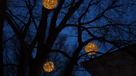 Outdoor-Christmas-decoration-with-led-balls-on-tree-branches