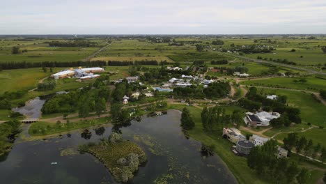 Dolly-out-flying-over-an-islet-with-a-flock-of-great-white-egrets-resting-on-treetops-in-the-middle-of-a-lake-at-Villa-Elisa-hot-springs-complex,-Entre-Rios,-Argentina