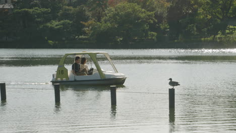 Scenery-Of-Couple-Paddle-Boating-In-A-Serene-Lake-At-Sunny-Day-In-Senzokuike-Park,-Tokyo,-Japan