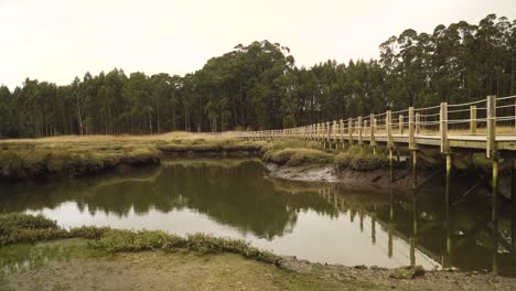 4k-Holzpfad-über-Einen-Ebbe-Teich-In-Der-Ria-De-Aveiro-An-Der-Mündung-Des-Flusses-Vouga