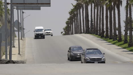 Cars-Driving-Over-Speed-Bump-Along-Road-Lined-with-Palm-Trees