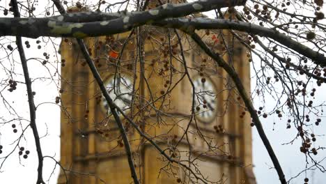 old-arts-building-clock-tower,-University-of-Melbourne-University-Of-Melbourne-Clocktower