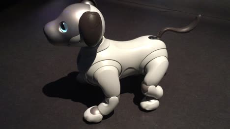 Ai:-Sonys-Aibo-Roboterhund-Wimmert-Auf-Der-Ausstellung-„ai:-More-Than-Human“,-Barbican