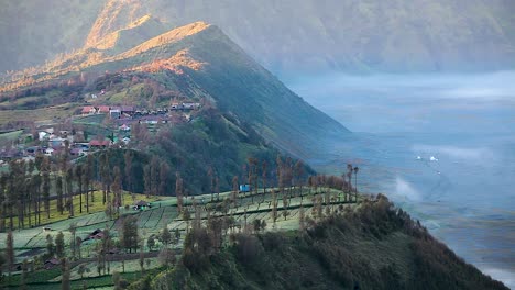 Dorf-In-Der-Gegend-Von-Mount-Bromo,-Ost-Java