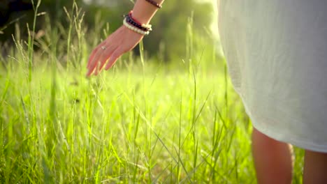 Young-woman-in-white-dress-walking-on-meadow-and-gently-touching-grass-with-morning-dew-at-sunrise