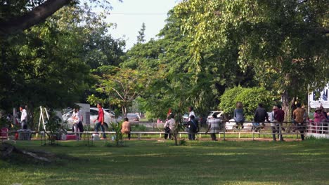 Gente-Caminando-Y-Sentada-A-Lo-Largo-De-Un-Camino-Bajo-Grandes-árboles