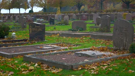 Gravestones-in-Kviberg-Cemetery-in-Gothenburg-with-lovely-trees-and-leaves-scattered-with-it---panning-shot