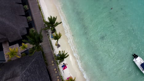 Aerial-top-down-birds-eye-shot-of-beautiful-mauritian-beach-and-enjoying-people